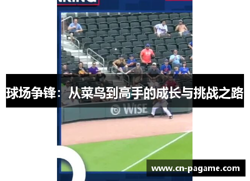 球场争锋：从菜鸟到高手的成长与挑战之路