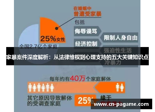 家暴案件深度解析：从法律维权到心理支持的五大关键知识点