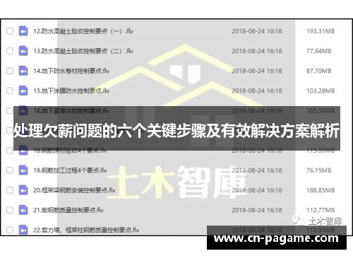 处理欠薪问题的六个关键步骤及有效解决方案解析