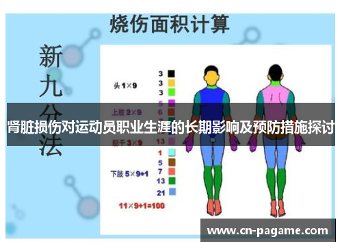 肾脏损伤对运动员职业生涯的长期影响及预防措施探讨