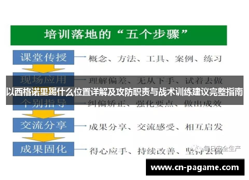 以西格诺里踢什么位置详解及攻防职责与战术训练建议完整指南