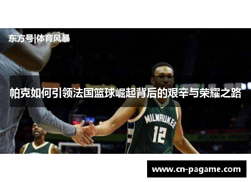 帕克如何引领法国篮球崛起背后的艰辛与荣耀之路