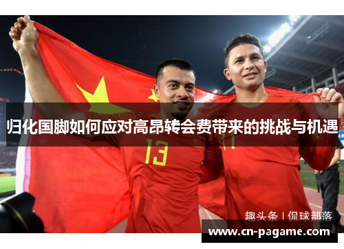归化国脚如何应对高昂转会费带来的挑战与机遇