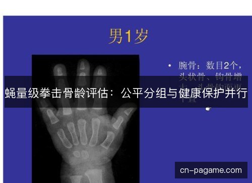 蝇量级拳击骨龄评估:公平分组与健康保护并行 蝇量级拳击骨龄评估:公平分组与健康保护并行