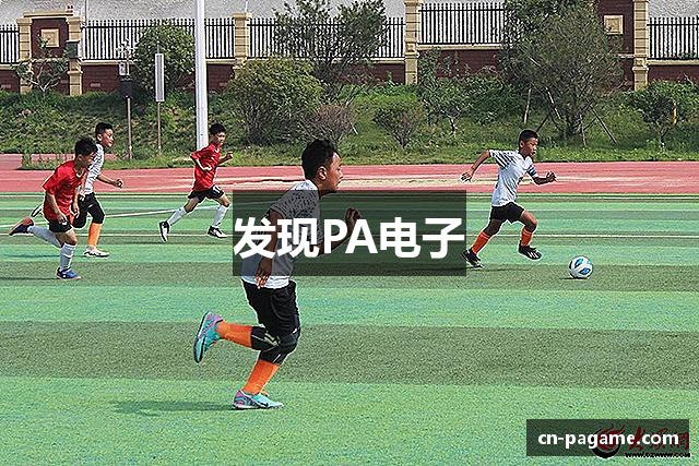 发现PA电子