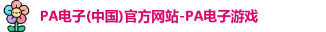 PA电子